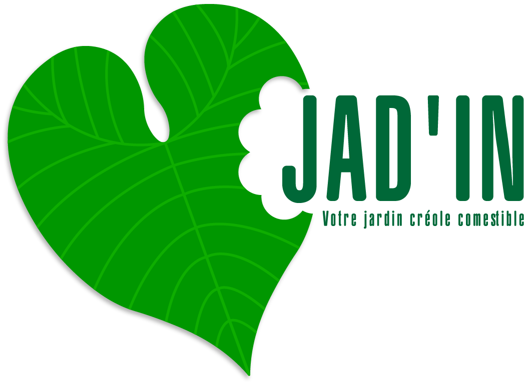 Logo Jad-in